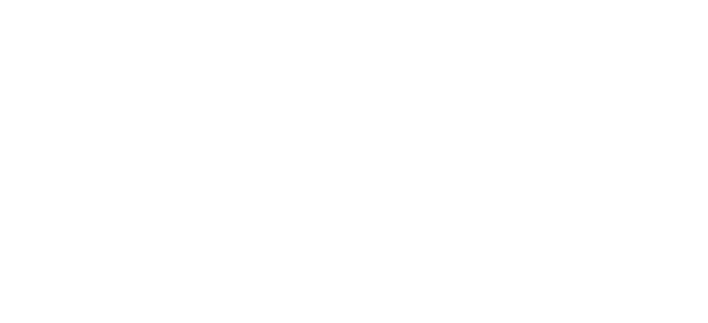 ADN Bilişim Logo